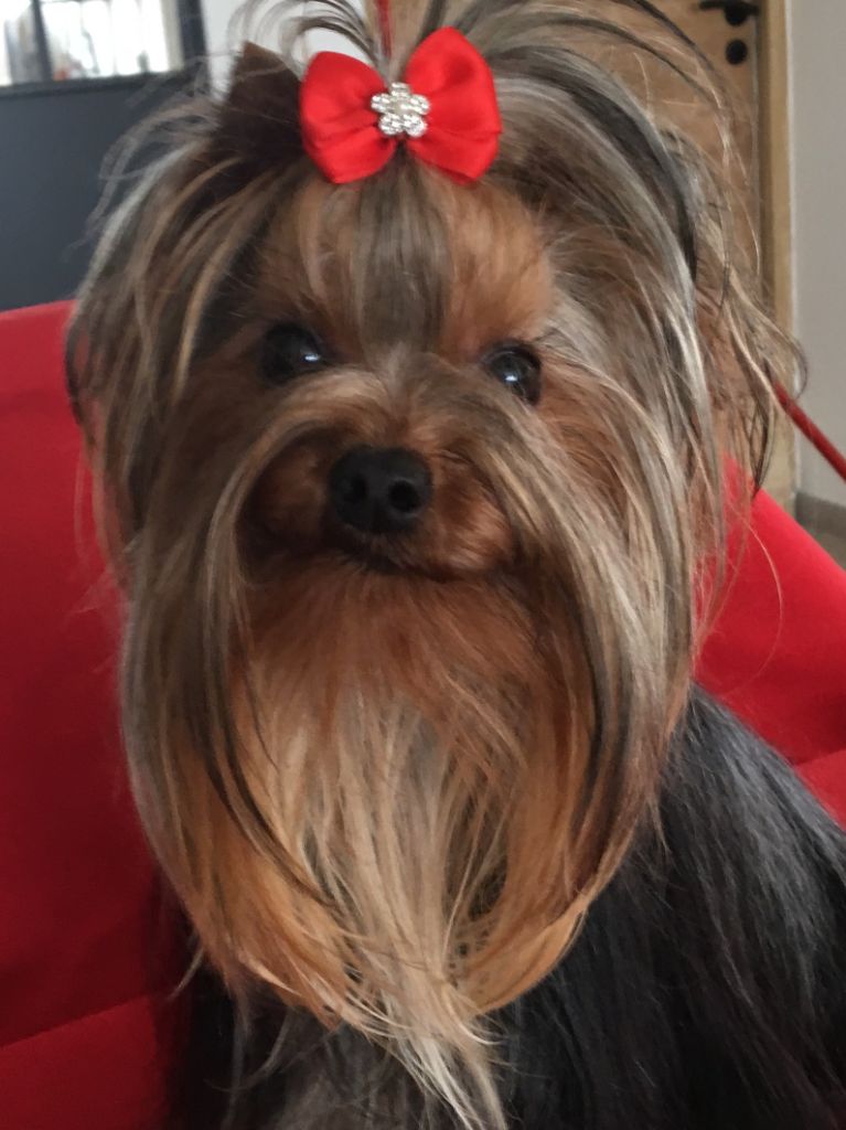 Publication : de l'Eden Royal