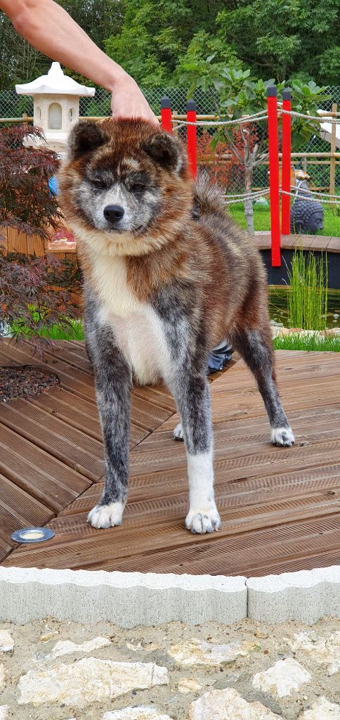 Publication : No Kazoku