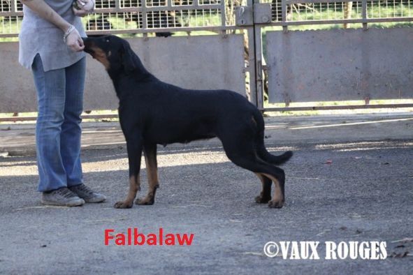 Falbalaw des Vaux rouges