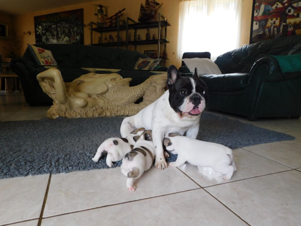 Publication : Des Anges De Mathéo