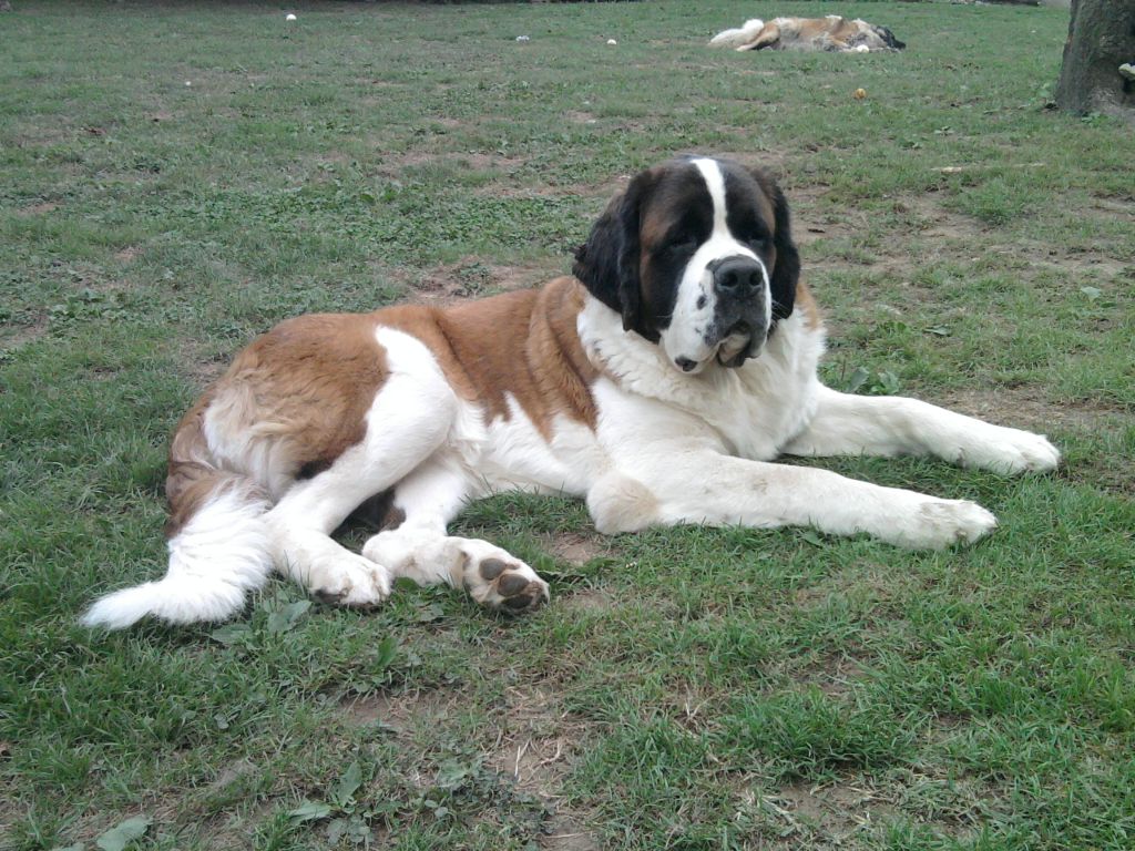 Publication : de l'ange aux papillons 