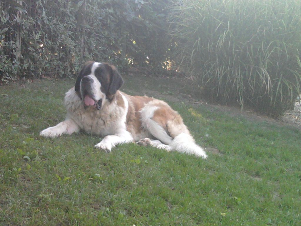 Publication : Du Domaine D'Arka 