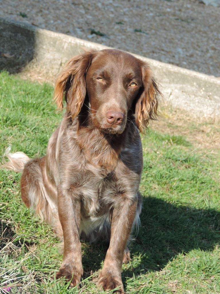 Publication : du creux du nant 