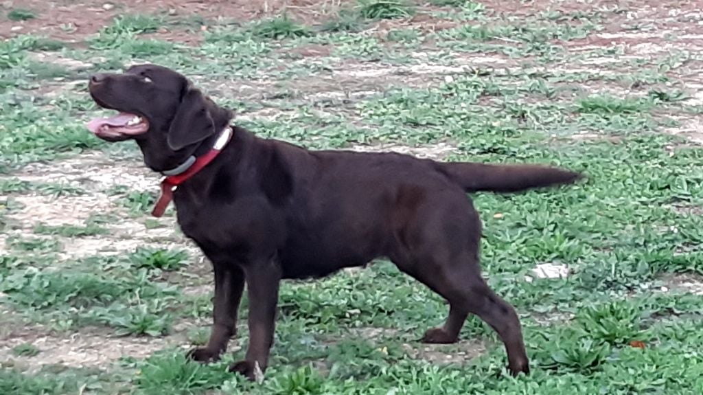 Publication : du verger des plaines