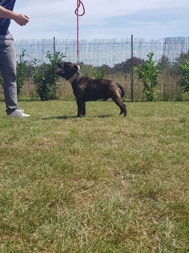 Publication : Dimteamdogz