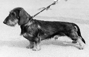 CH. Caron (Sans Affixe)