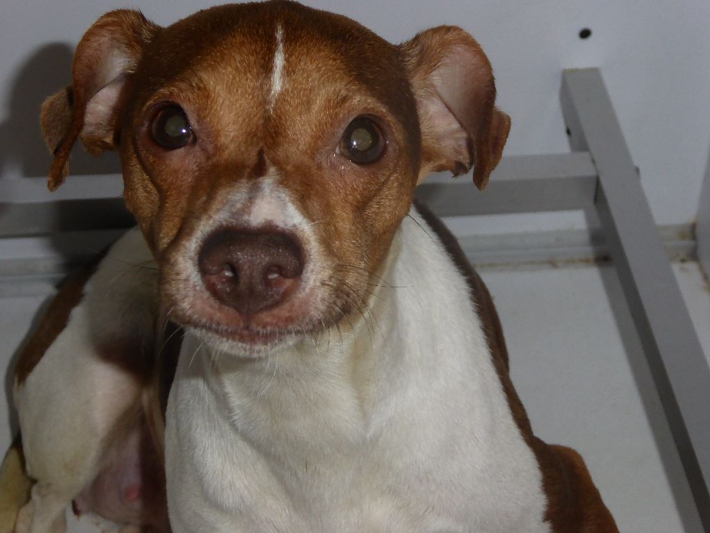 Publication : du domaine des Mandets 