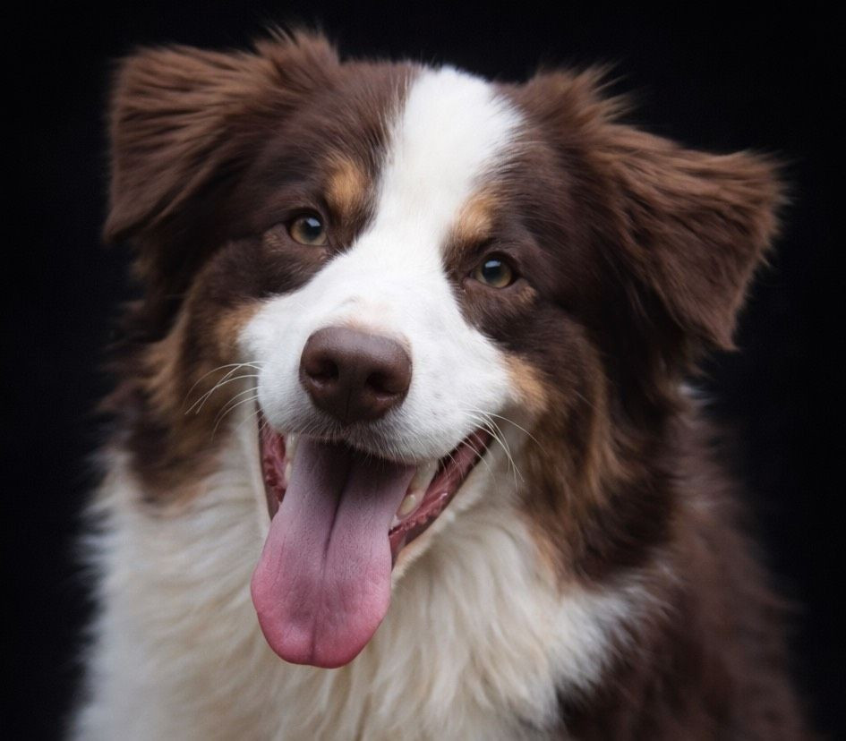 Obladi du Chemin de la Lune aux Reves