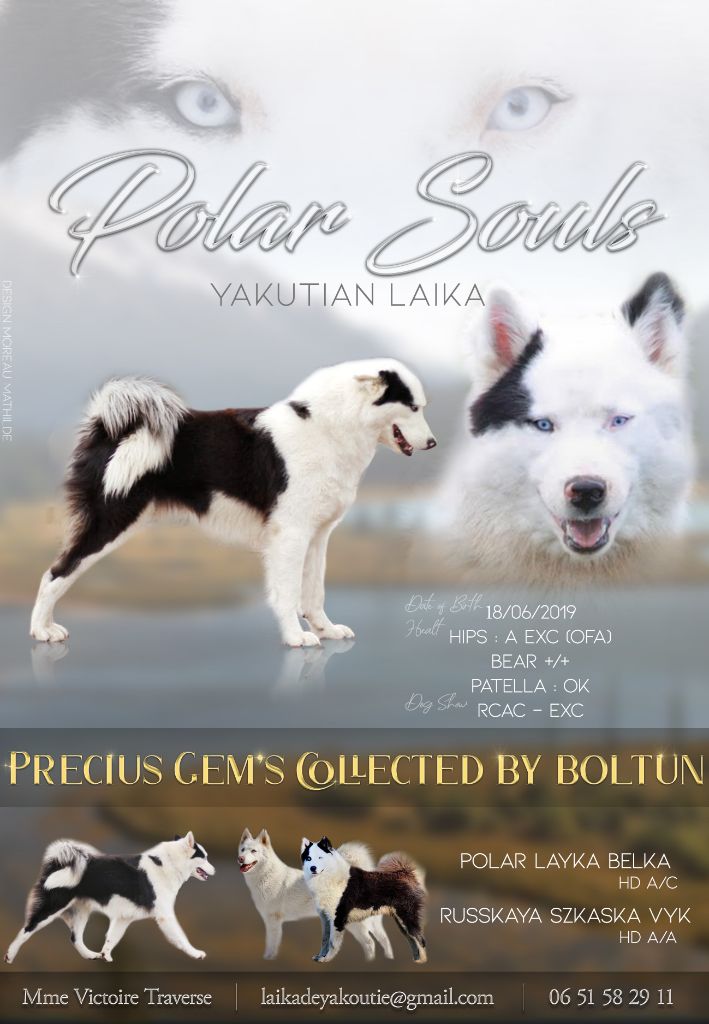 Polar Souls Precius gem's collected by boltun