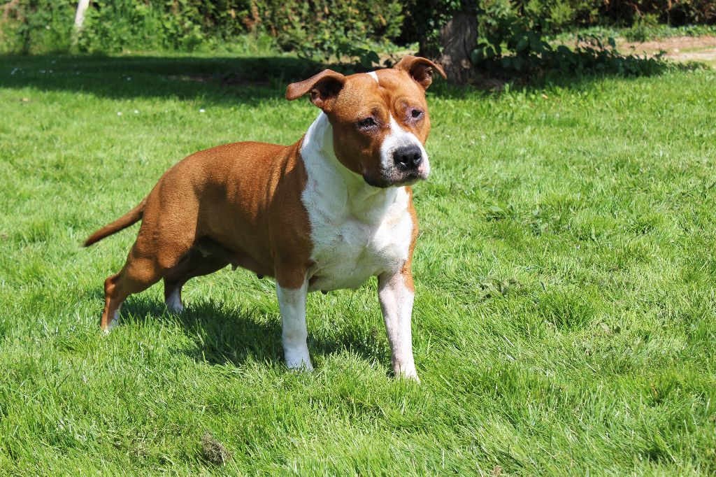 Publication : Wildandlys