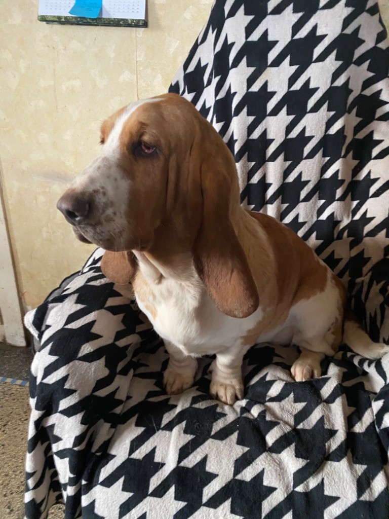 Publication : de la douce folie Auteur : Charissou