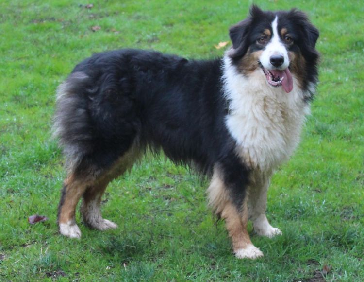 Publication : du Chemin de la Lune aux Reves