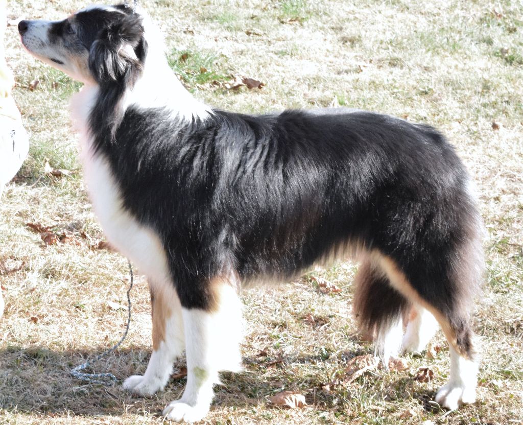 Publication : Des Eclats De Quasar Auteur : Sophie Aymes