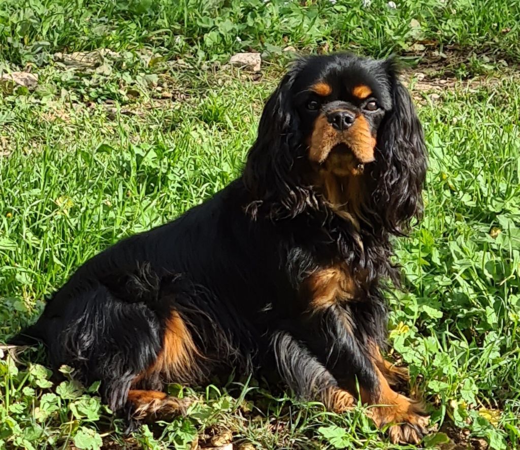 Publication : Du clos de larpege 