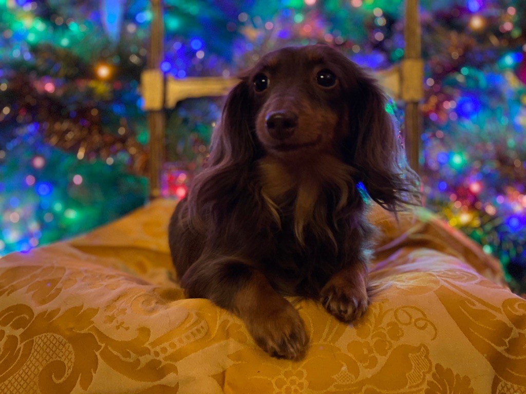 Publication : Des Diamants De Monte-Carlo Auteur : Les Diamants de Monte-Carlo