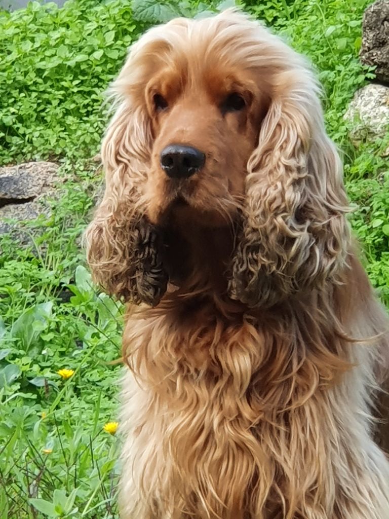 Publication : (Sans Affixe)