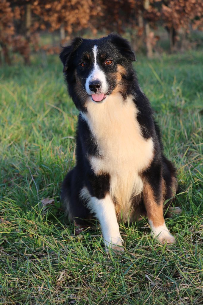 Publication : Of Gold In The Heart Auteur : Maréva RIBES