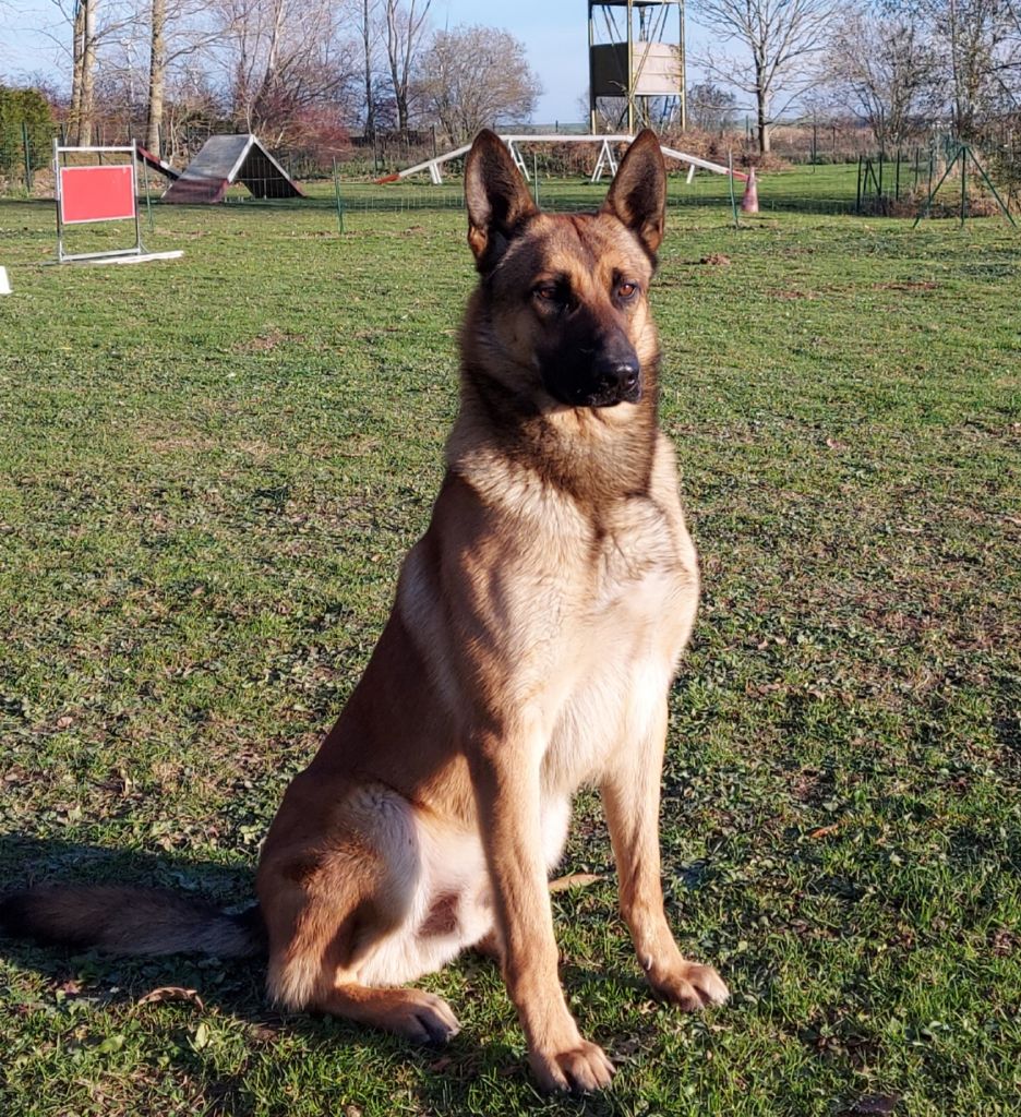 Publication : des gardiens d'Athéna