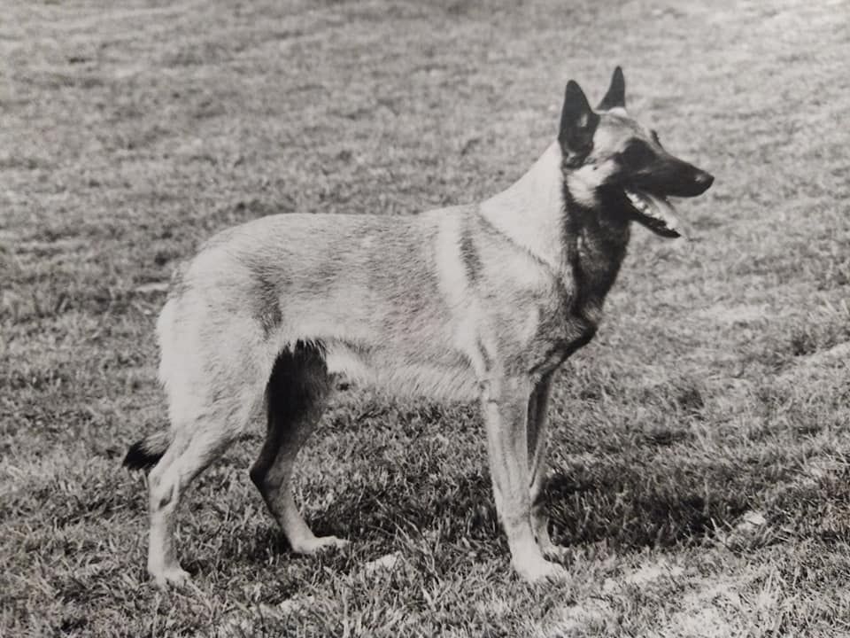 CH. Junker De la fontaine du buis