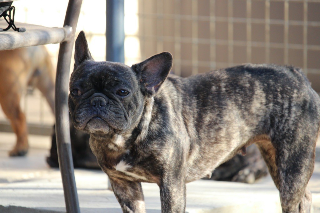 Publication : Sweet Heart Secret's 