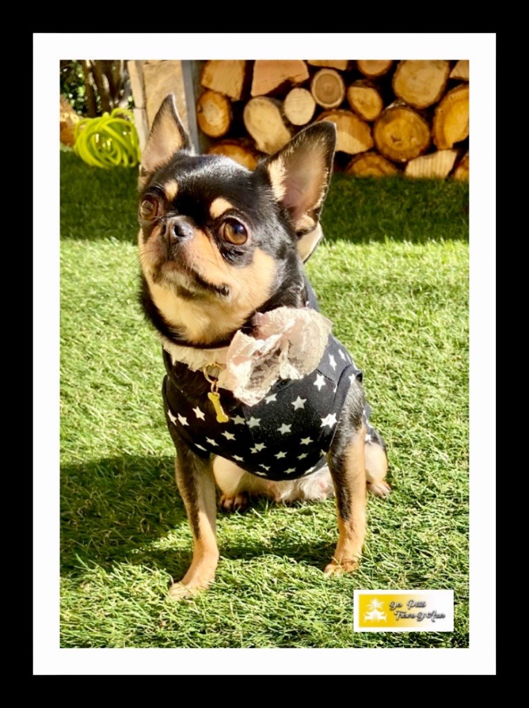 Betty boop iz tvoey mechty