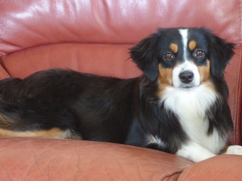 Publication : Des bonnes bouilles Auteur : CHRISTINE PREVOTS