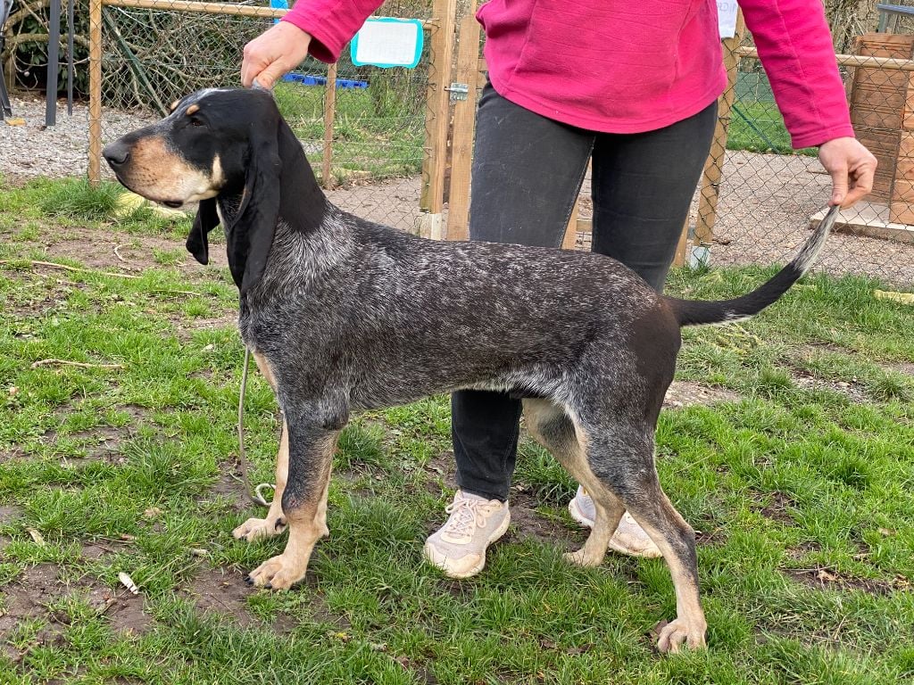 Publication : De La Croix Des Bruyeres 