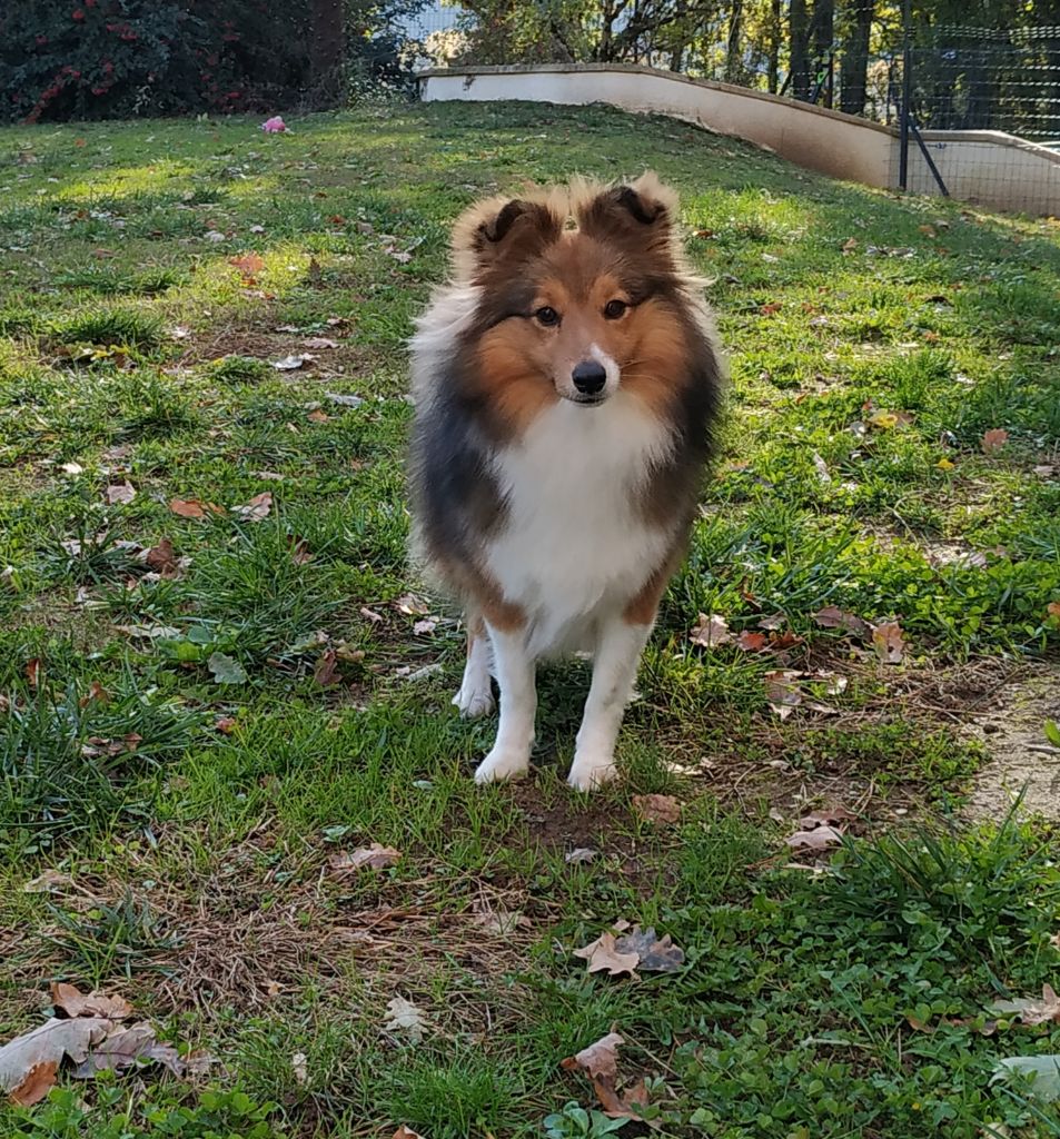 Publication : Pathways To Avalon 