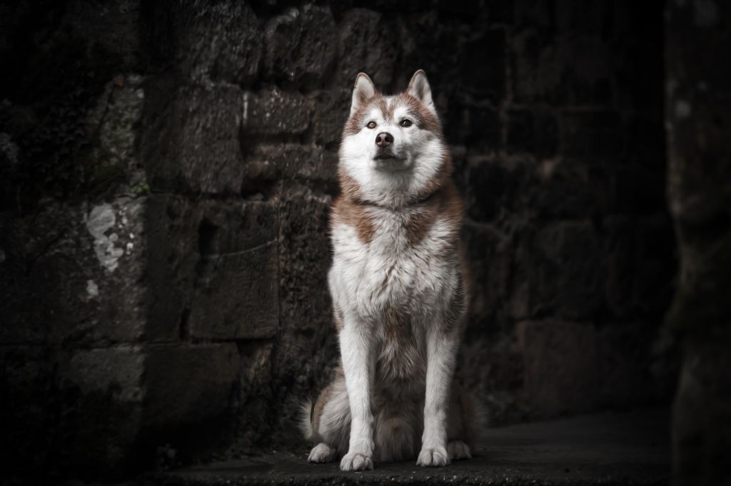 Publication : Of Artic West Wind 