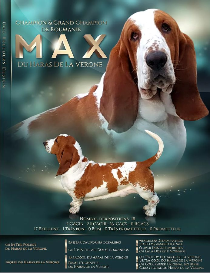 Publication : du Haras de la Vergne Auteur : laurent cavé