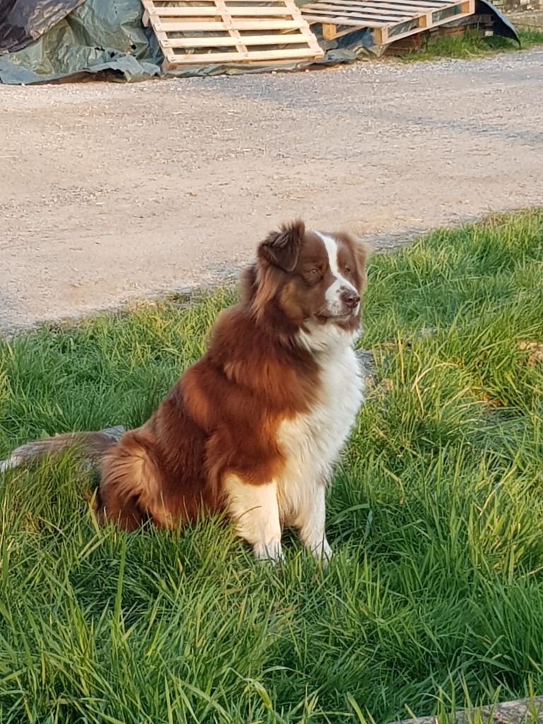 Lady lucille De La Route De Memphis