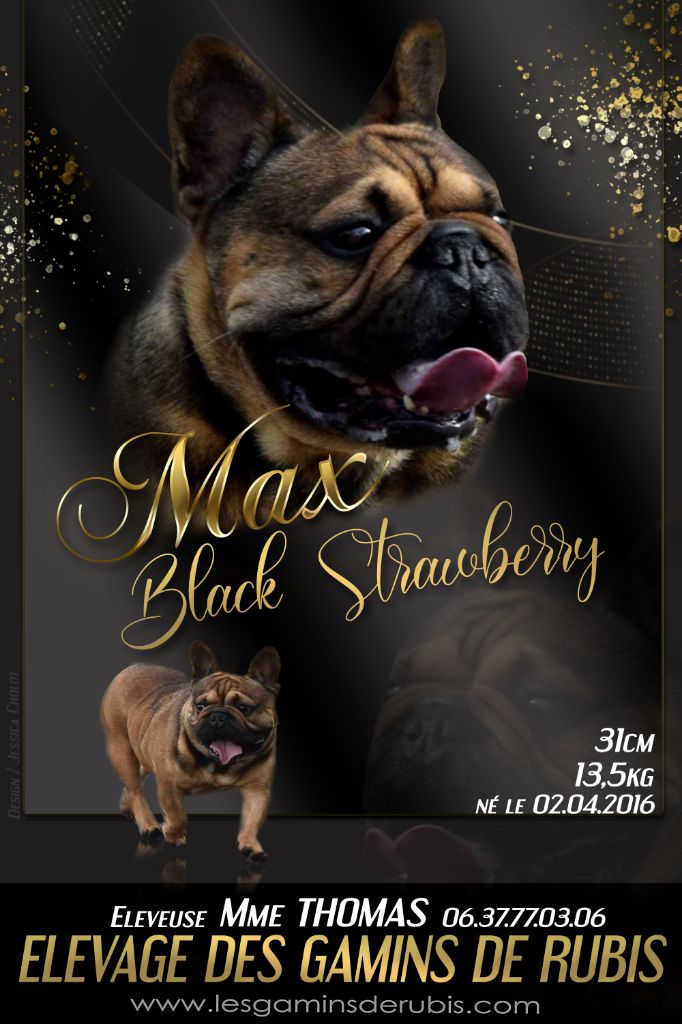 Max black strawberry