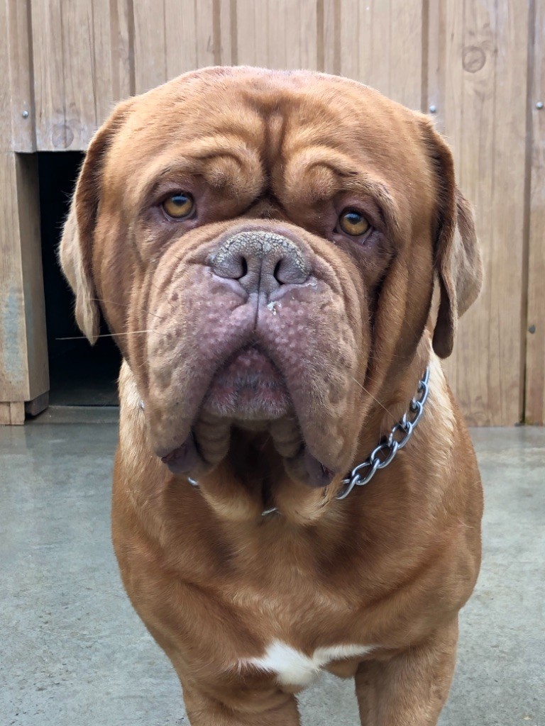 Publication : De La Fount D'Argent 