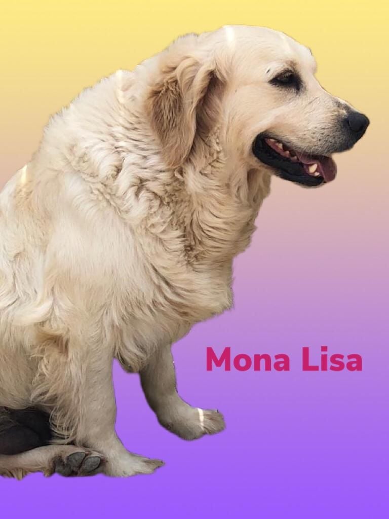 Mona-lisa Du Clos De Compostelle