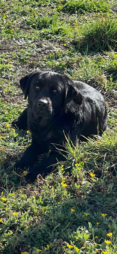 Publication : du clos du barrian