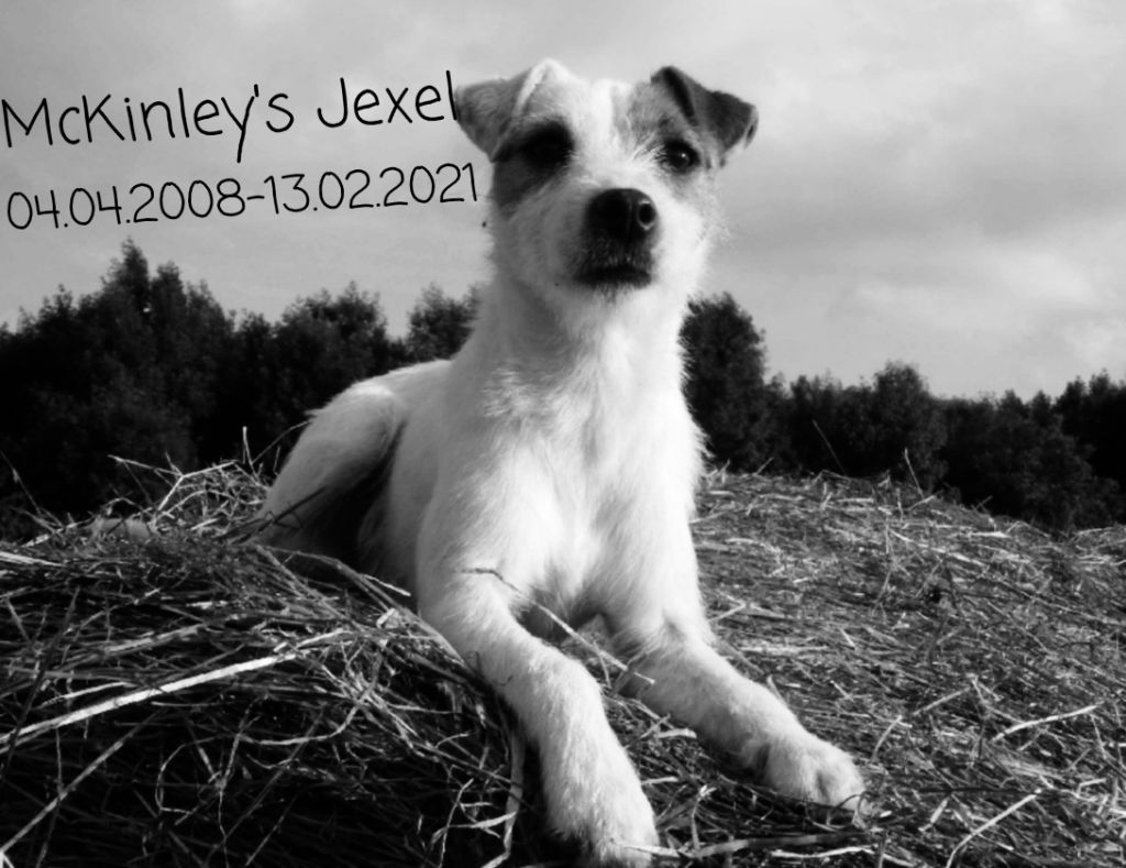 mckinley's Jexel