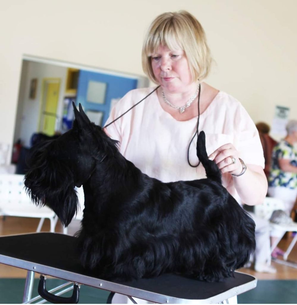 CH. trakside Royal indian