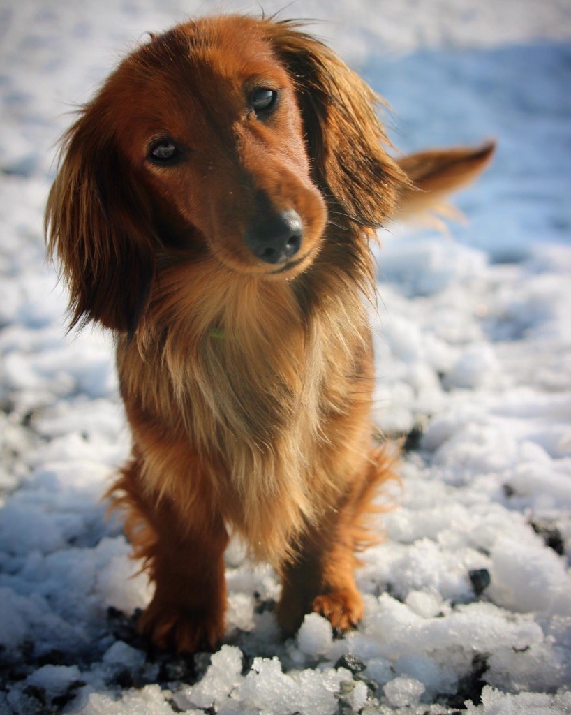 Publication : Des Vents D'Océan