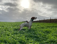 Pietro Du Clos De La Saliais