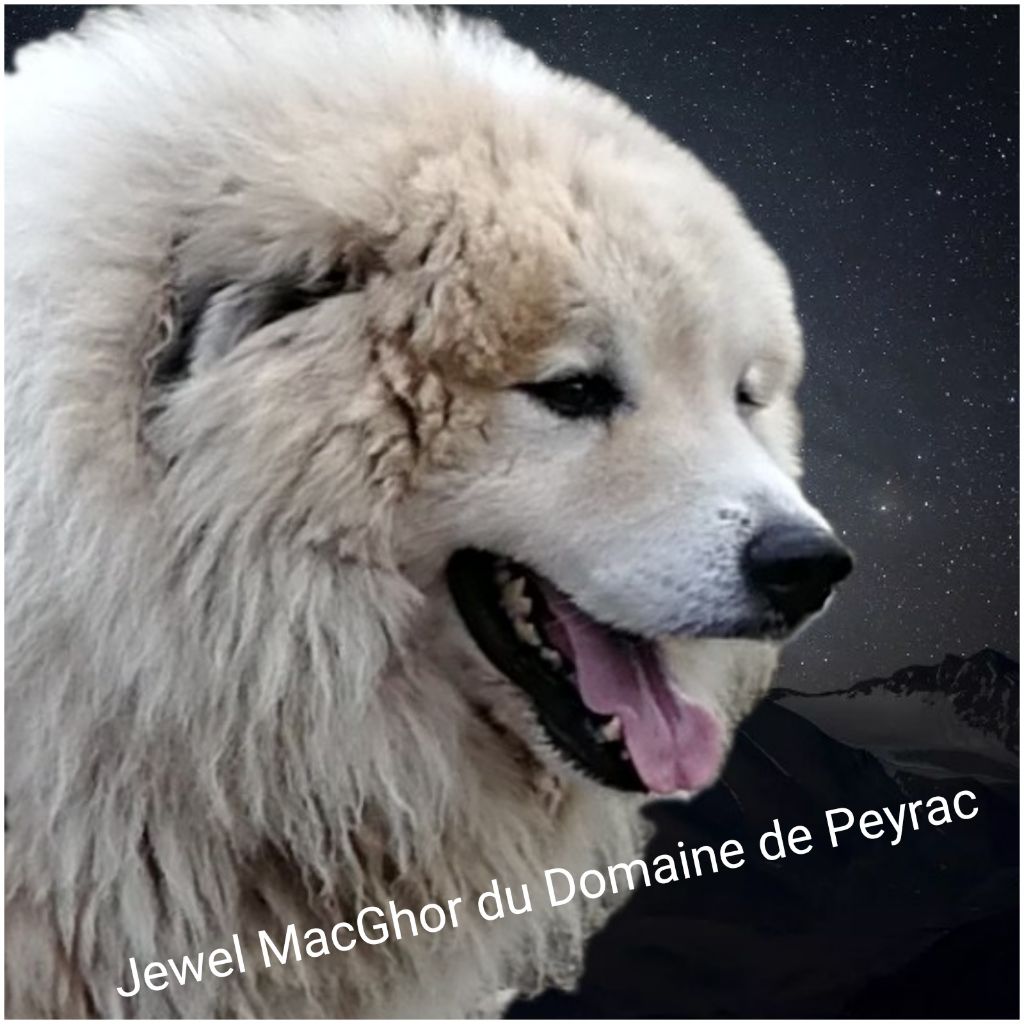 Publication : du Domaine de Peyrac Auteur : Le Domaine de Peyrac