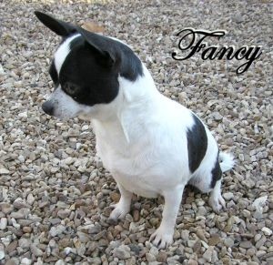 Halo's Angelic fancy pants