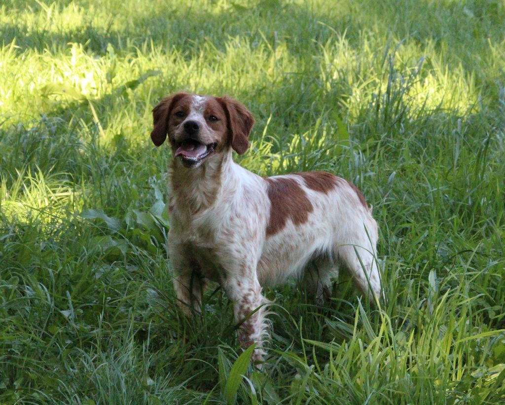 Publication : De la plaine marat 