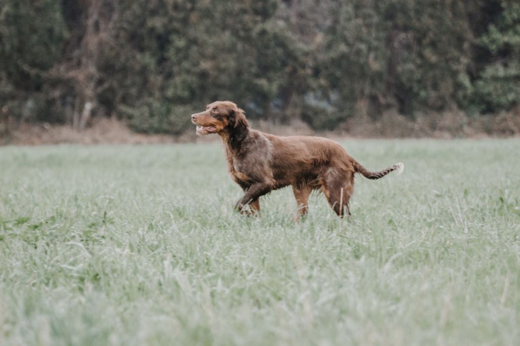 Publication : Du Mas Des Oiseaux