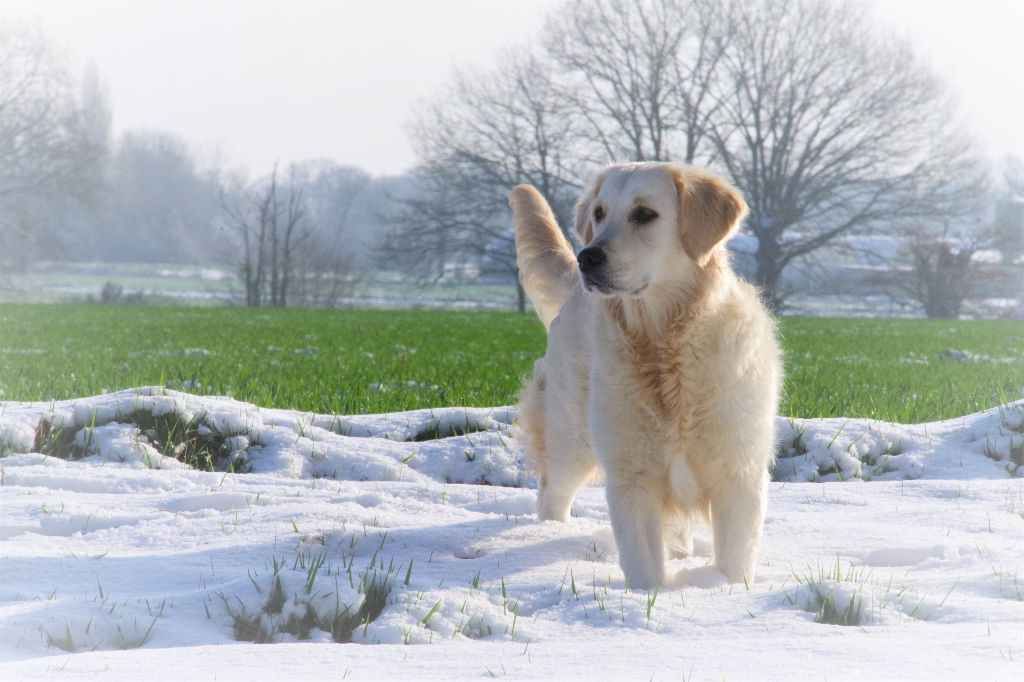 Publication : Du Jardin Des Espiègleries
