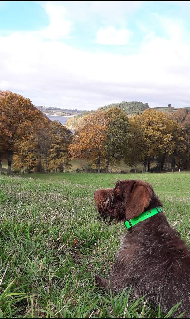 Publication : Des Rives De L'Ady Auteur : maxime gaubert