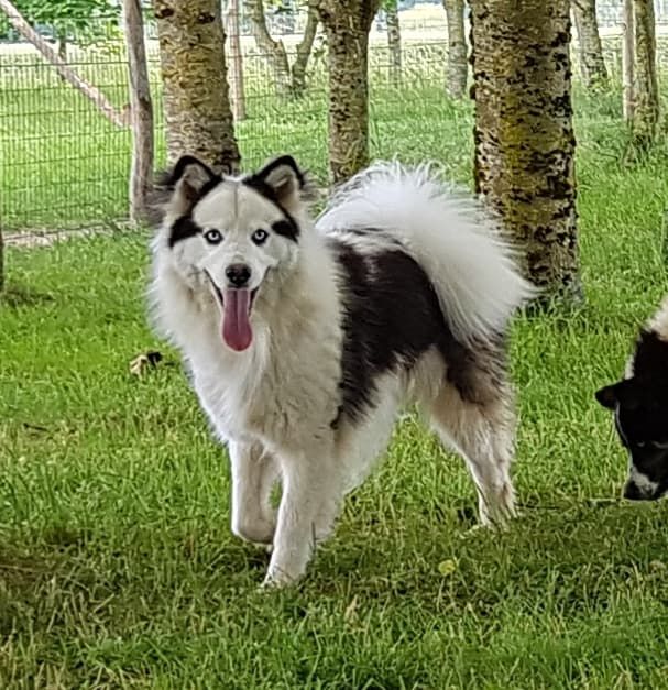 Publication : Des marais de courmont Auteur : pat