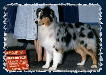 Storm warning of ironhorse