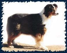 red banks Clay basket