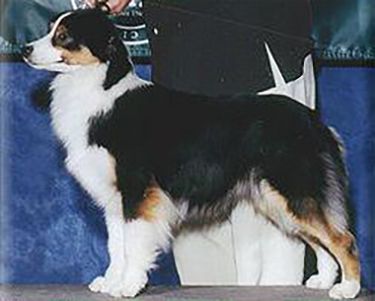 CH. Hearthside Watermarks encore