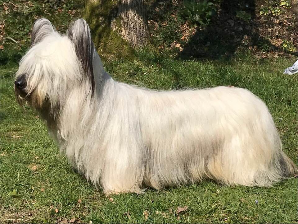 Publication : Du Mas Sumacs Auteur : Sarah von FELDENKREISS